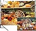 DULUDA 7X5FT Halloween Pumpkin Pictorial Cloth Backdrop Photography Background Studio Prop for Christmas WXL39