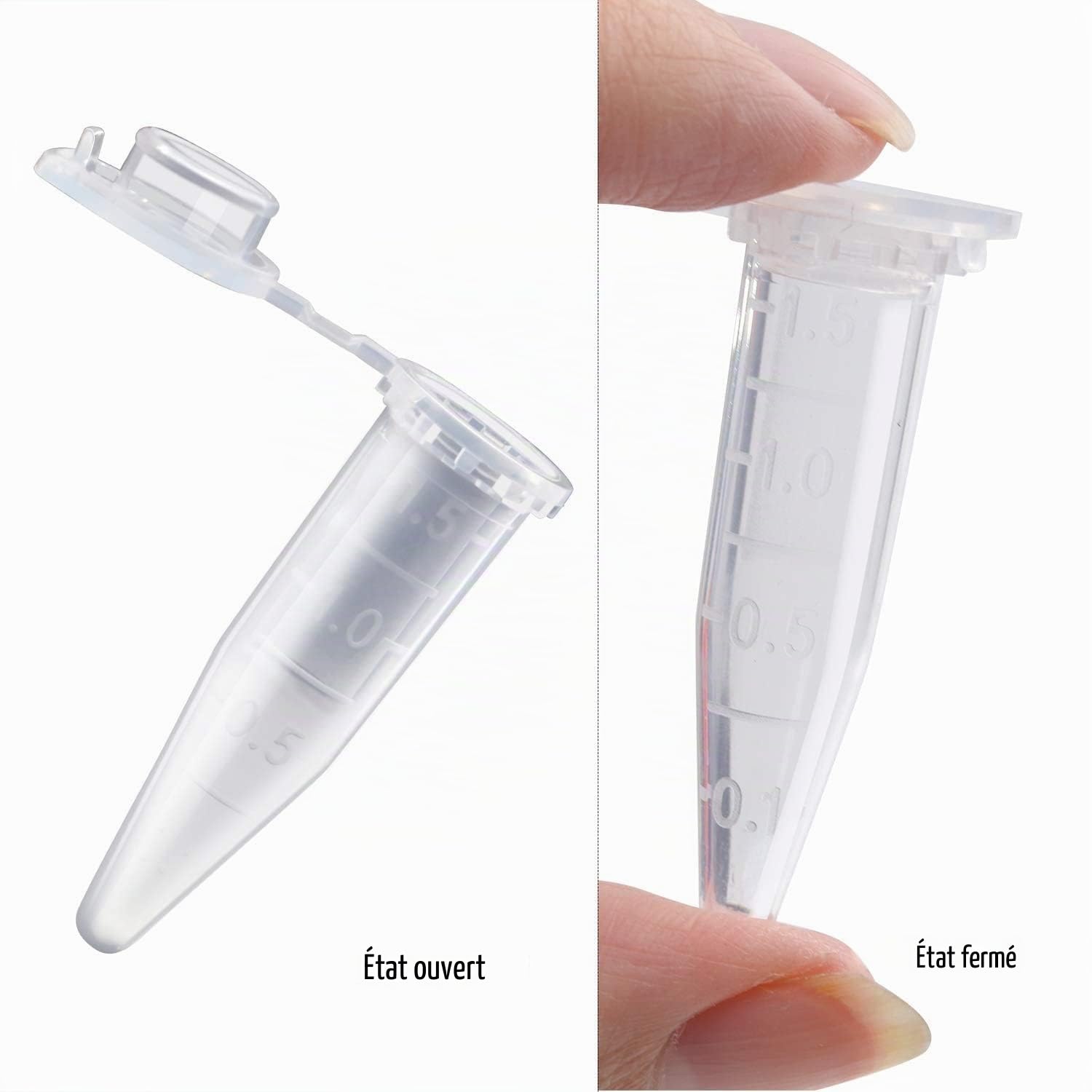 500 tubes à centrifuger, flacon de réaction, récipient à globules à double fermeture, microtubes en polypropylène, bouchons à globules avec couvercle de 1,5 ml, transparent pour échantillon d'ampoules