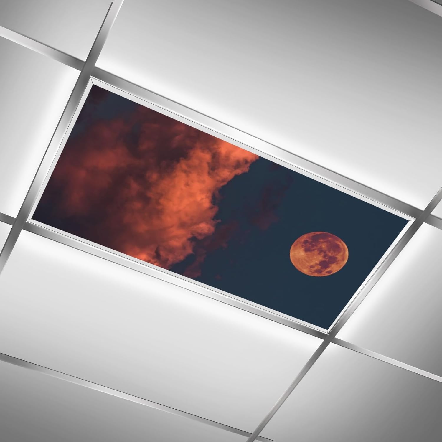 IOACIY 4 x 2 Feet Fluorescent Light Covers for Ceiling Lights Classroom Office Light Filters