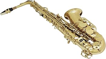 Amazon.co.jp: アルト サックス ブラス ボディ ボディ ホ長調 アルト