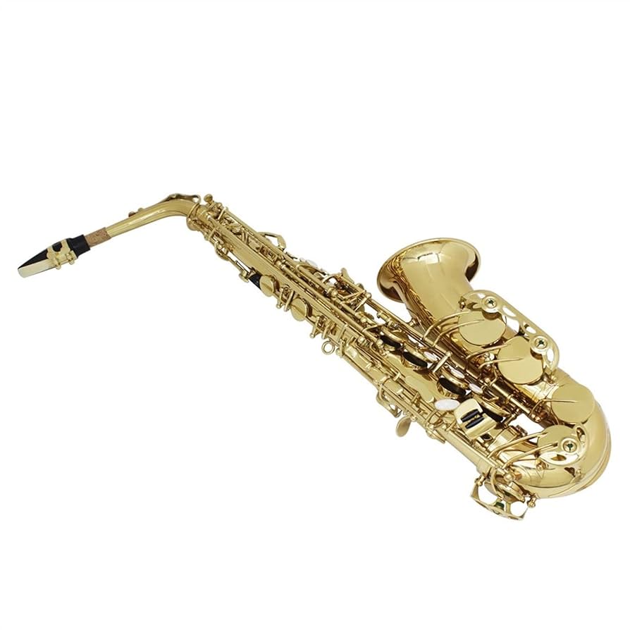 Amazon.co.jp: アルト サックス ブラス ボディ ボディ ホ長調