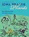 An Illustrated Guide to Iowa Prairie Plants