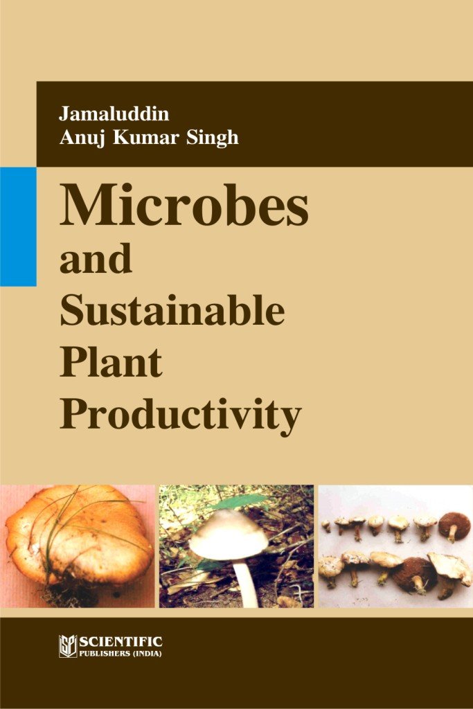 Buy Microbes and Sustainable Plant Productivity โ BookShops.in