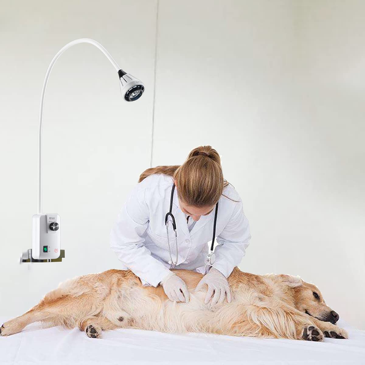 COMDS Lampe D'examen Chirurgical LED 9 W, Lampe Murale D'examen pour Animaux De Compagnie Réglable À Haute Luminosité, Lumière D'examen Dentaire Orthopédique Chirurgie Chirurgicale ORL Lampe D'examen