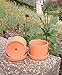 Fat Walled Terracotta Planter with Drainage Hole and Saucer Cylindrical Plants Flower Containers Unglazed Clay Pots - Set of 2