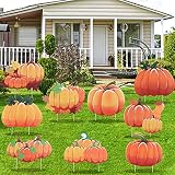 Set of 9 Fall Yard Sign Pumpkin Yard Stakes Thanksgiving Outdoor Decoration Harvest Garden Signs Law