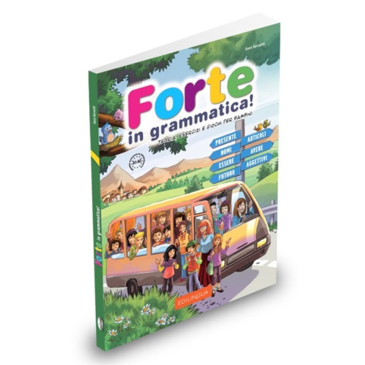 Forte in grammatica!: Libro PAPERBACK (ITALIAN) 9788898433322