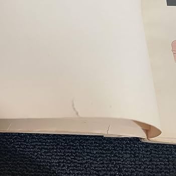 Amazon.co.jp: 藤田嗣治 挿絵本 日本昔噺 1922年 パリ