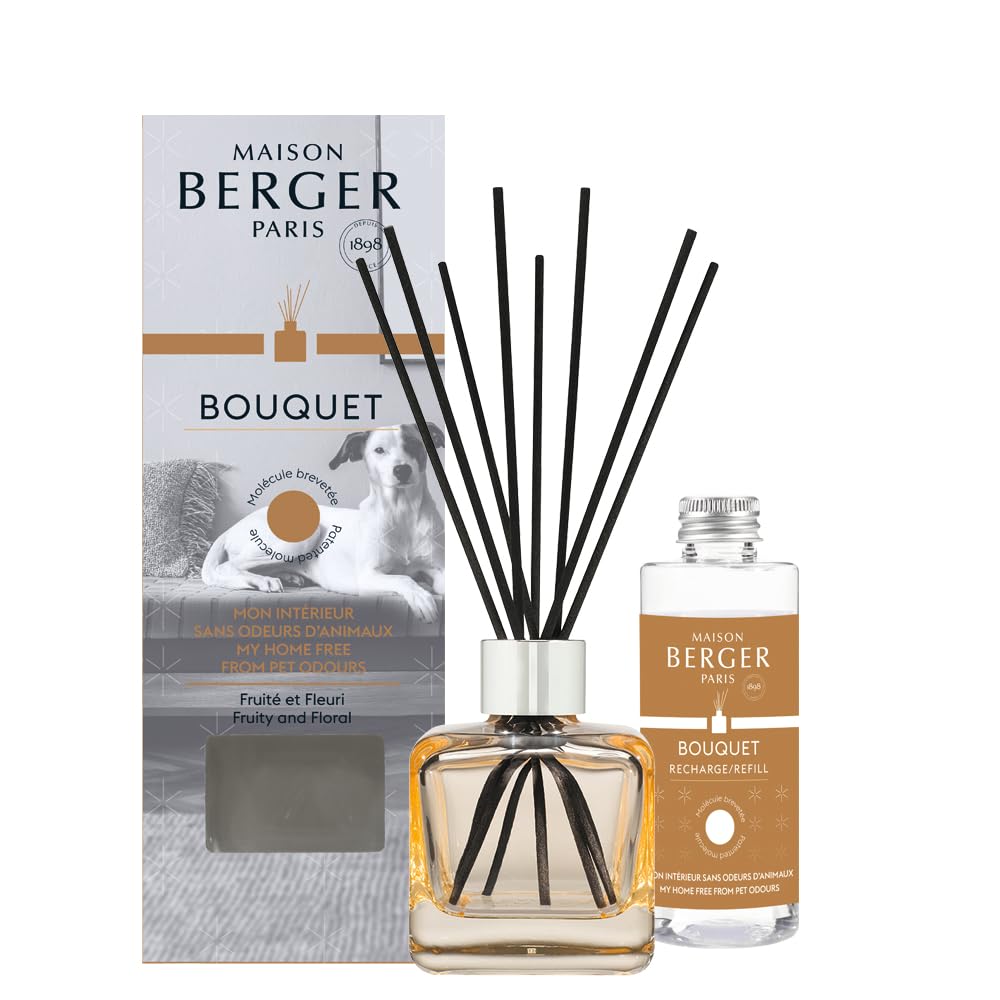 Maison BERGER – Bouquet perfumado – Difusor de perfume para casa – Mi interior sin olores a animales – Modelo de hielo champán – 6 palitos negros – 21 cm – Recambio de 100 ml – Fabricado en Francia