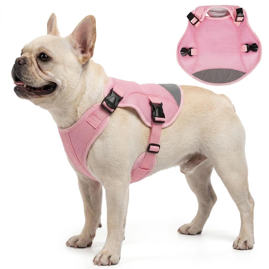 Hjyokuso Dog Cooling Vest XS, Lightweight Breathable Cool Jacket for Small Dogs, Evaporative Coolings Coat, Absorbent Fabric, Reflective Strips, Easy On Off Buckle, Summer Heat Protection Pink