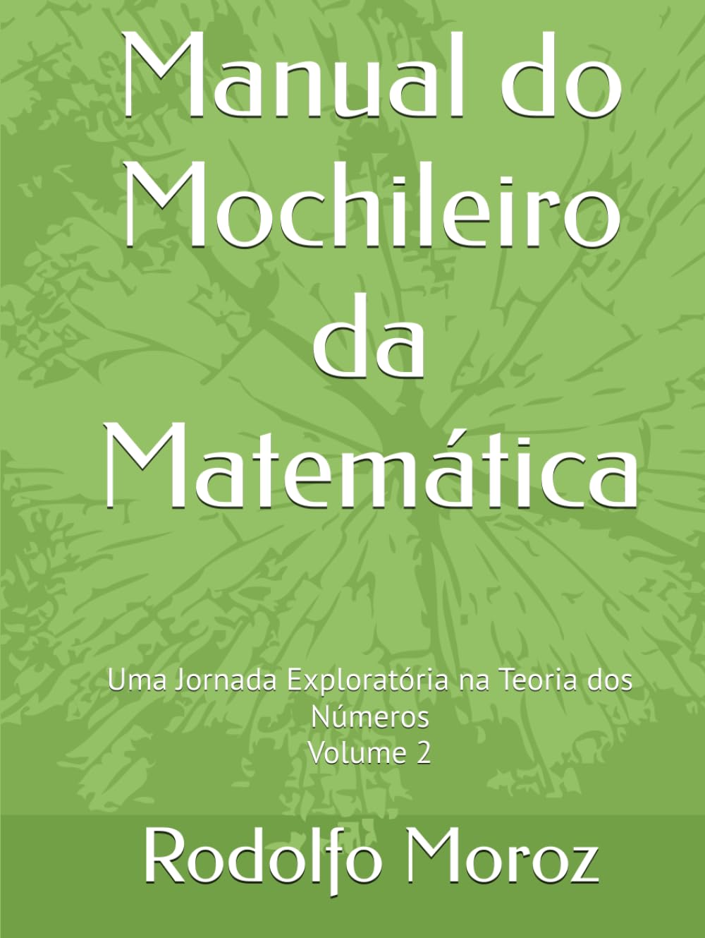Manual do Mochileiro da Matemática: Uma Jornada Exploratória na Teoria dos Números