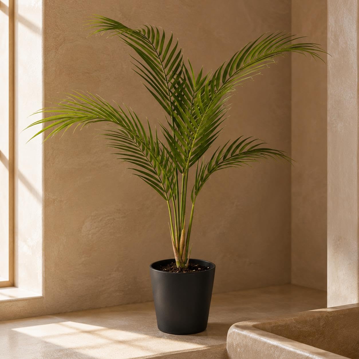 Botanik 2ft Artificial Areca Palm Tree Green