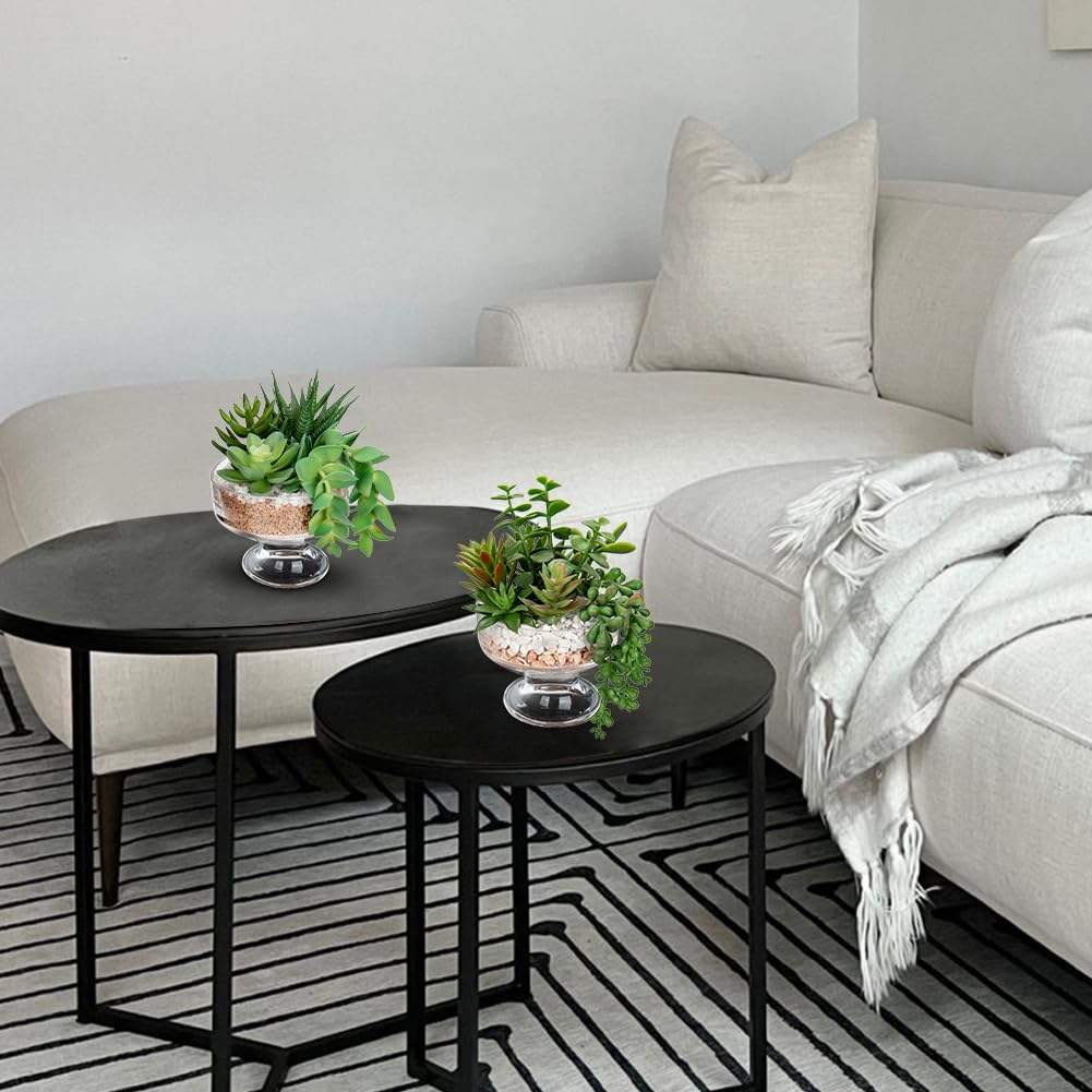 2er-Set Kunstpflanze Sukkulenten Künstlich im Glastopf Künstliche Pflanzen für Badezimmer Regal Küche Terrasse, Kunstpflanze Deko Modern Wohnzimmer Balkon Schlafzimmer Badezimmer Zimmer Tischdeko