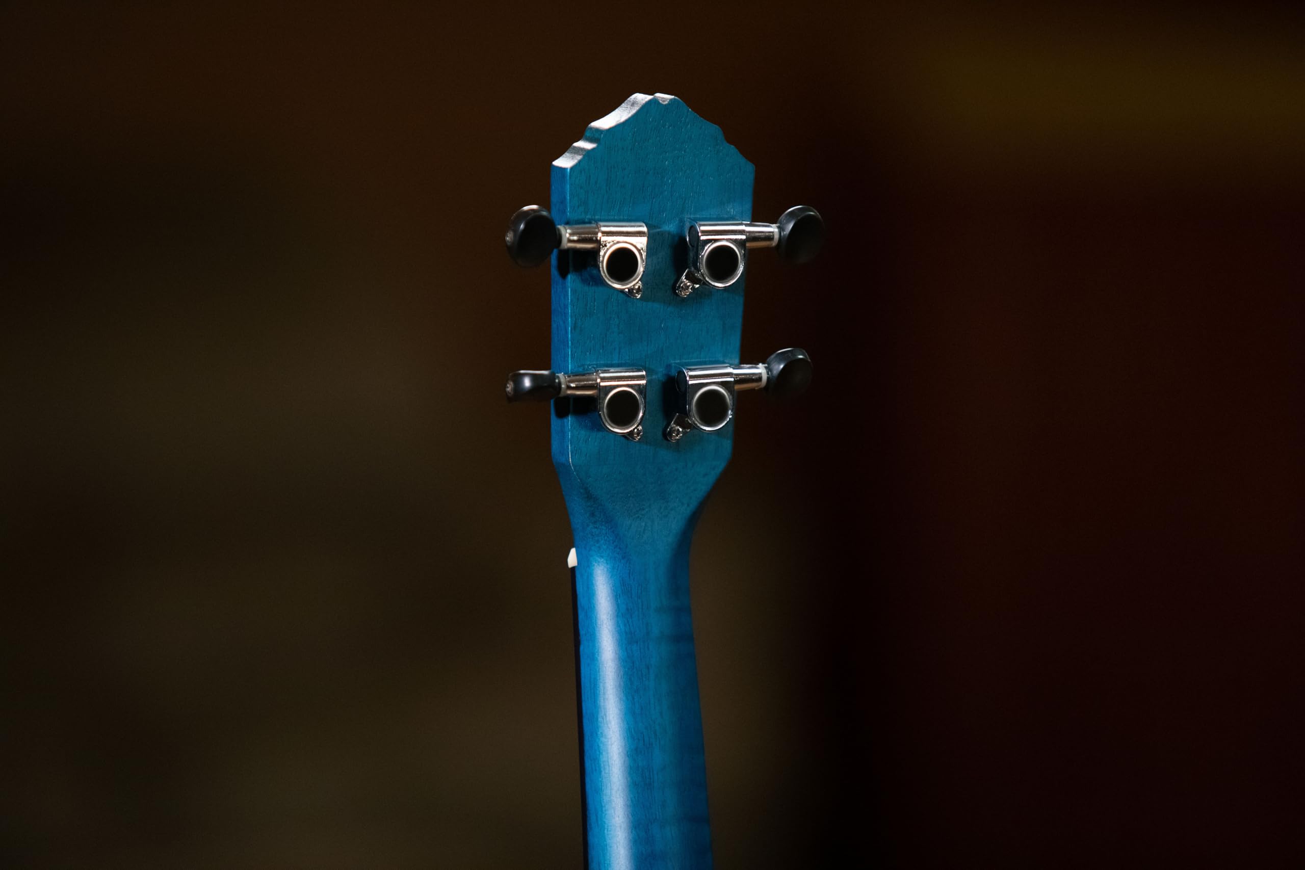 Ortega Guitars Ukulélé Concert Acoustique – Série Earth – Okoumé, Bleu Foncé (RUOCEAN)