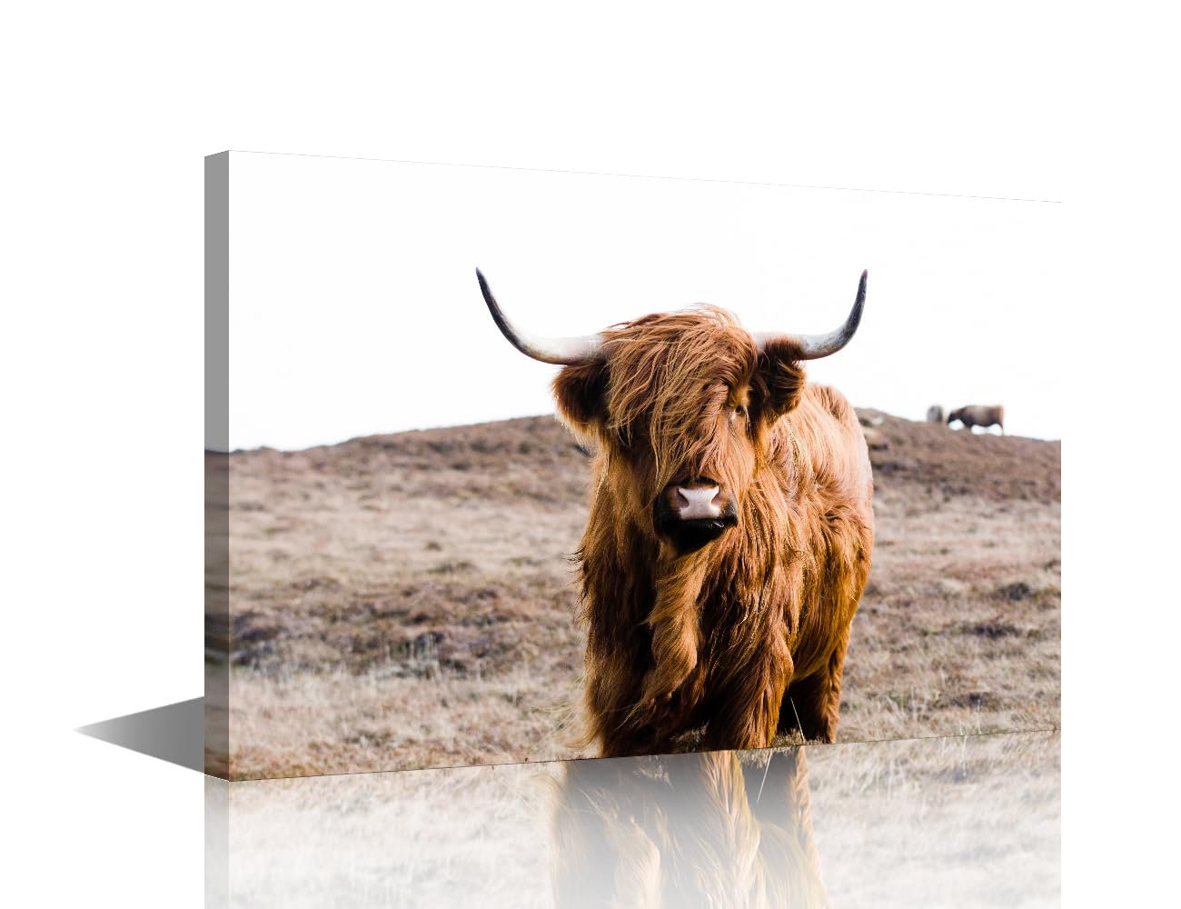 Highland Cow Picture for Living Room Animals Paintings Brown Wall Art Nature Scenery Artwork Prints on Canvas Modern Home Decoration Giclee Framed Poster Gift Ready to Hang 18x12 in
