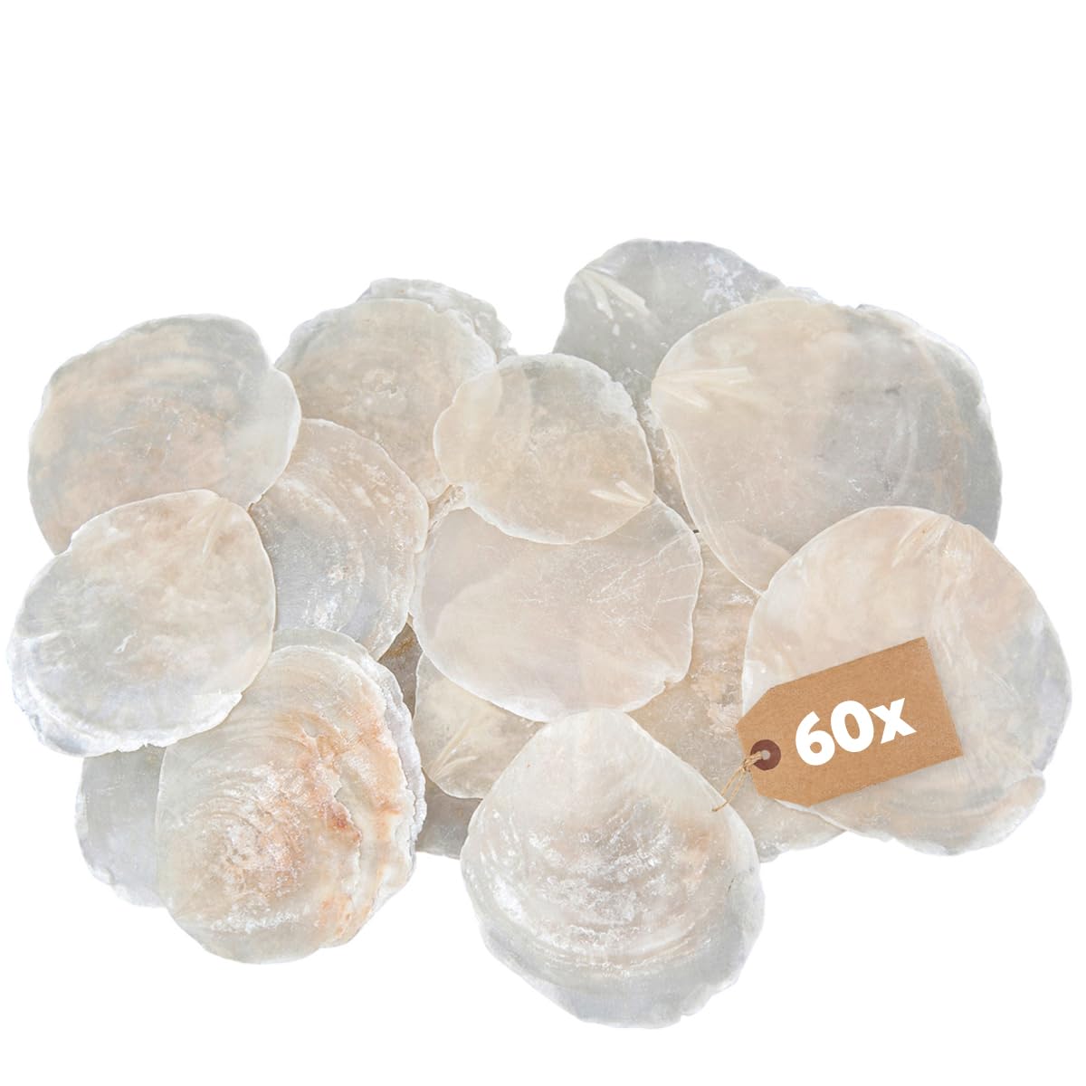matches21 HOME & HOBBY Large Capiz Shell Discs Pack of 60 Diameter 7-10 cm Natural Mother of Pearl Discs for Crafts Decorating