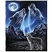 Dawhud Direct Wolves Howling Moon Fleece Throw Blanket