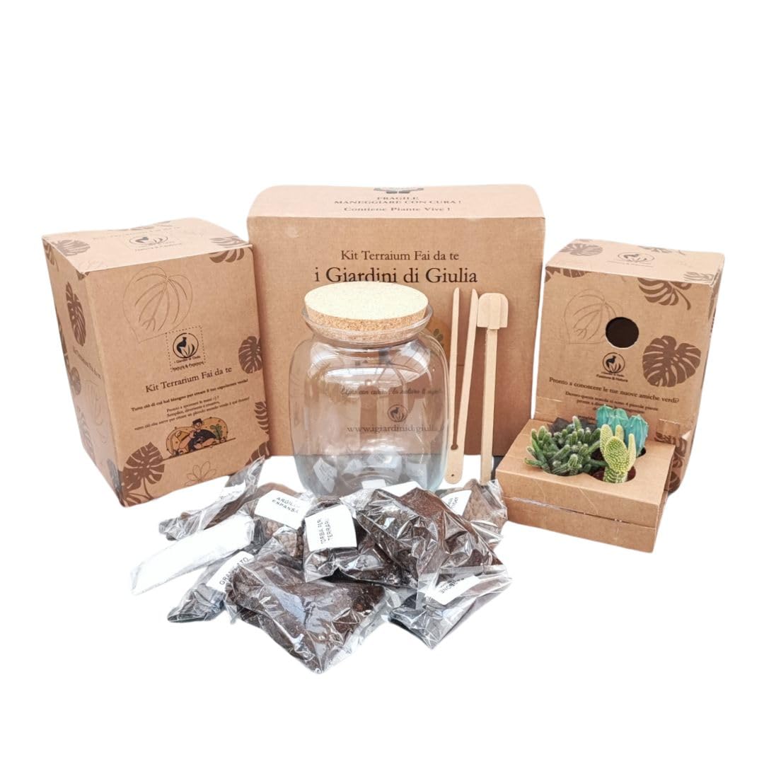 Kit Terrarium Fai da Te per Piante Grasse - I Giardini di Giulia - Completo di Vaso in Vetro, Tappo in sughero, Piante Succulente, accessori, substrati ed elementi decorativi