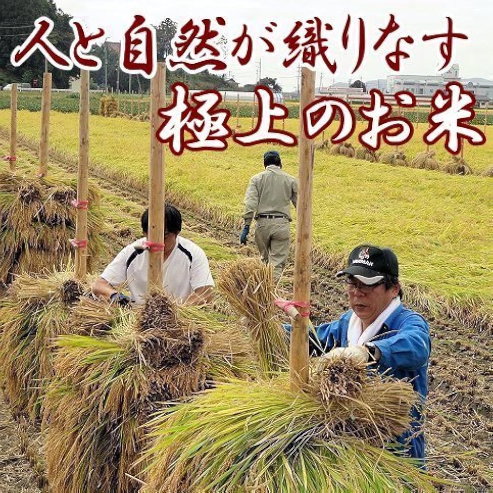 【新米 玄米】 宮城 特別栽培 ひとめぼれ米 30kg ⚫︎環境保全米NO,16 楽天市場】【1回のご注文で1袋まで】【令和6年宮城米】 宮城県産