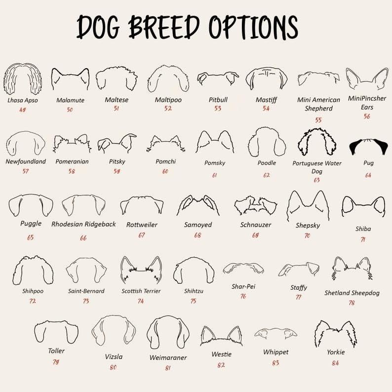 CHILLEVER Personalized Embroidered Dog Mom Sweatshirt, Dog Mama Crewneck, Gift for Mom, Pet Name On The Sleeve4