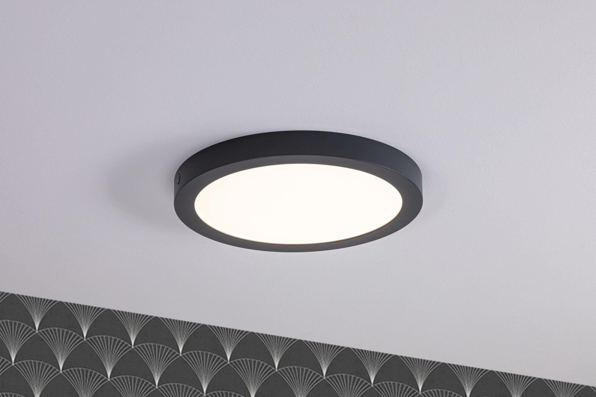 Paulmann 70988 LED Panel Abia 300mm Warmweiß rund incl. 1x22 Watt Dunkelgrau matt Deckenlampe Kunststoff 2700 K