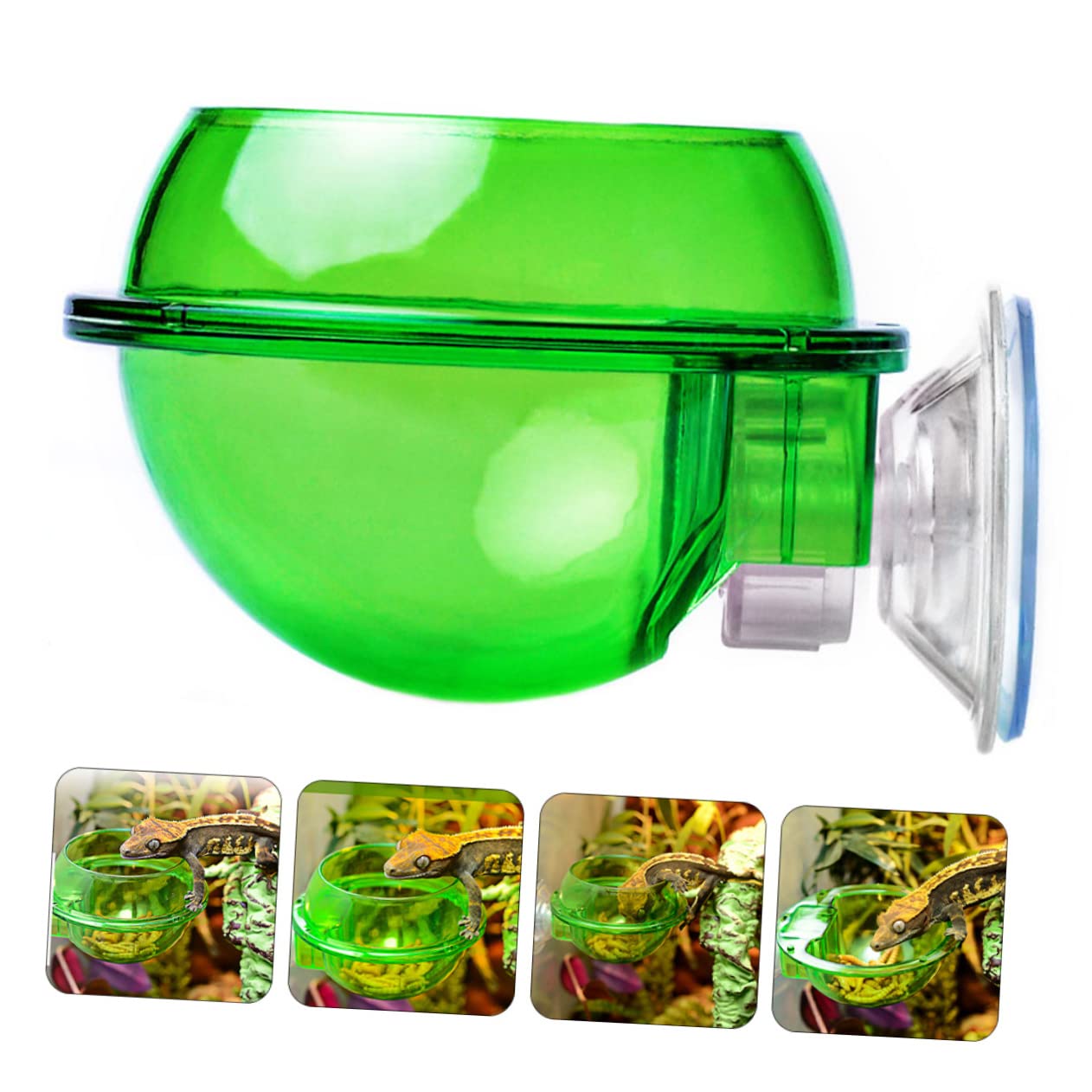 Ipetboom 8pezzi Ciotola per Rettili con Ventosa da Alimentatore Parete per Lucertole e Rettili Design Superficie Liscia e Resistente per Tartarughe e Piccoli Animali Domestici
