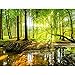 Produktbild Fototapete Wald Bach 352 x 250 cm Vlies Tapeten Wandtapete XXL Moderne Wanddeko Wohnzimmer Schlafzimmer Büro Flur Grün Braun 9141011a