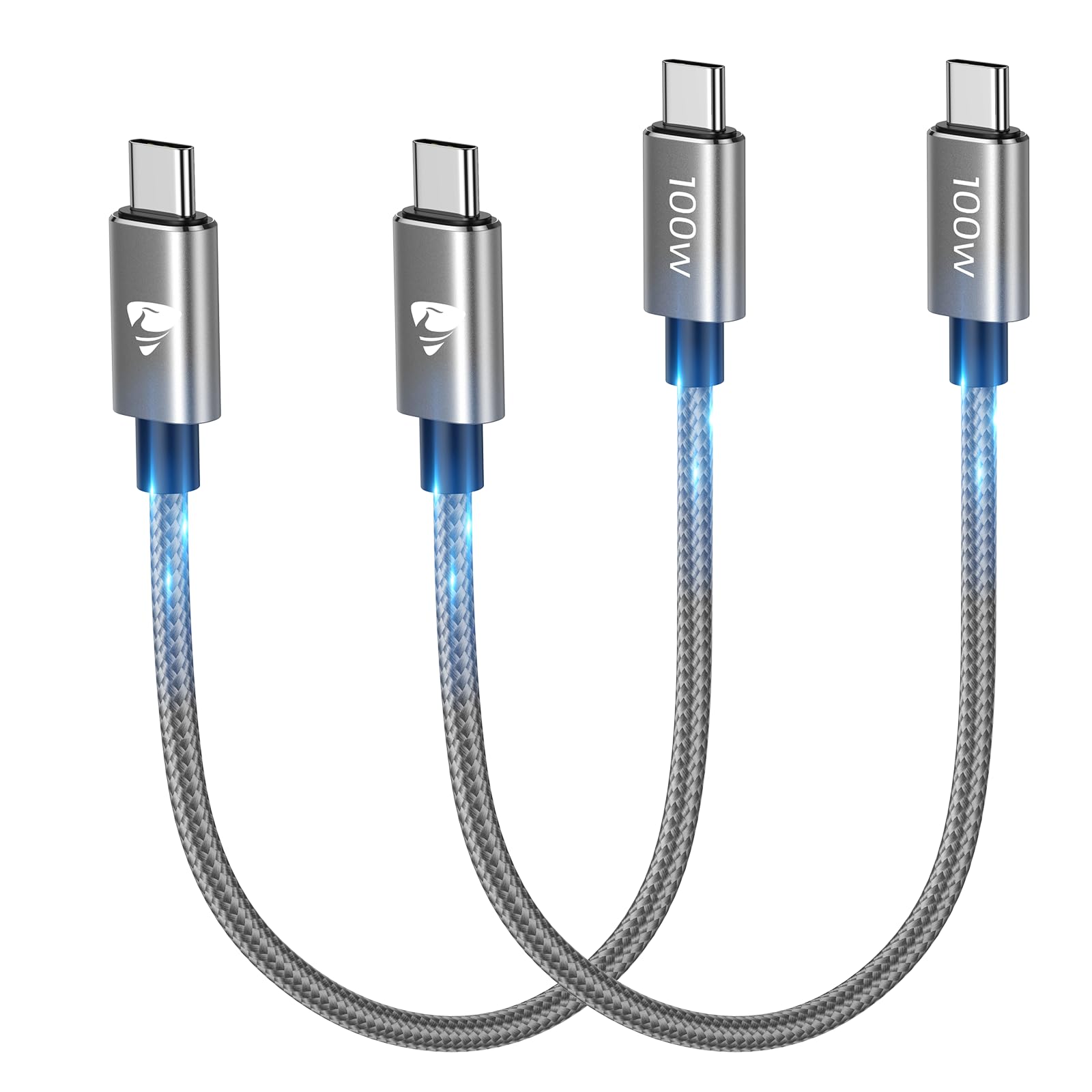 Aioneus