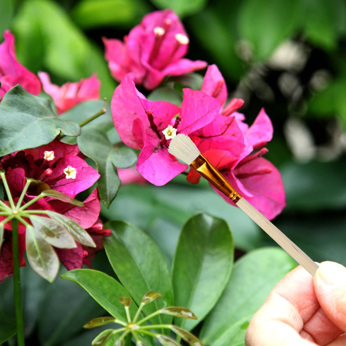 Juego de 10 cepillos de polinización manual, herramienta polinizadora de mano, cepillo de polinización de jardín para vegetales, flores, árboles frutales