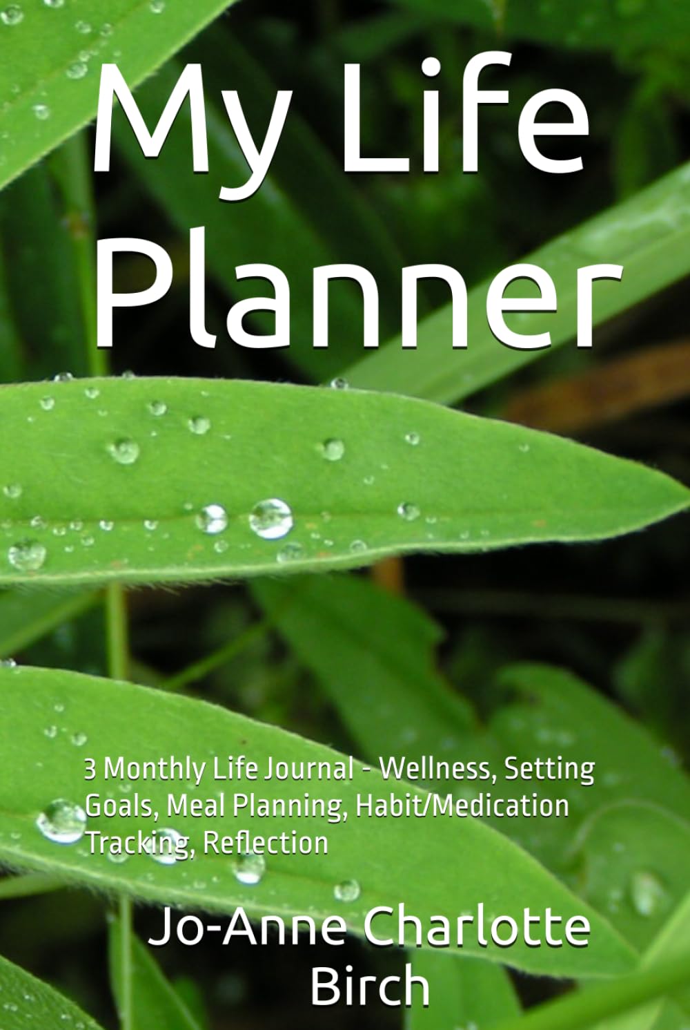My Life Planner: 3 Monthly Life Journal - Wellness, Setting Goals, Meal Planning, Habit/Medication Tracking, Reflection