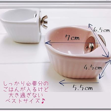 新作入荷 小動物用 陶器製食器 小動物用品 新作入荷 小動物用 陶器製食器 小動物用品