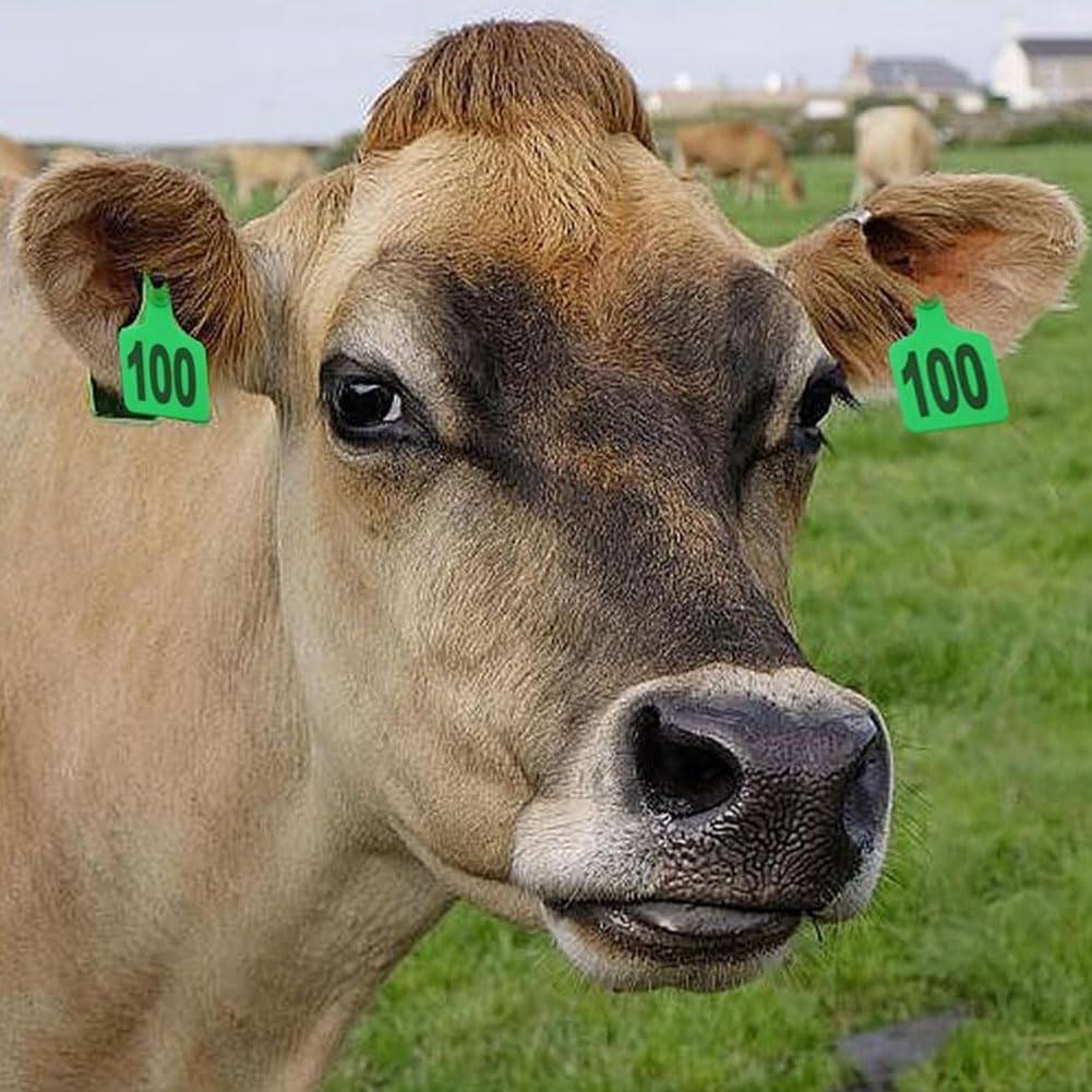 Ohrmarke als Identifikationskarte für Nutztiere PE-Ohrmarken for Nutztiere, mehrfarbig, mehrere Größen, 001–500, 100 Stück