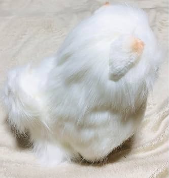 Amazon.co.jp: 犬 三英 スピッツ ポメラニアン ぬいぐるみ