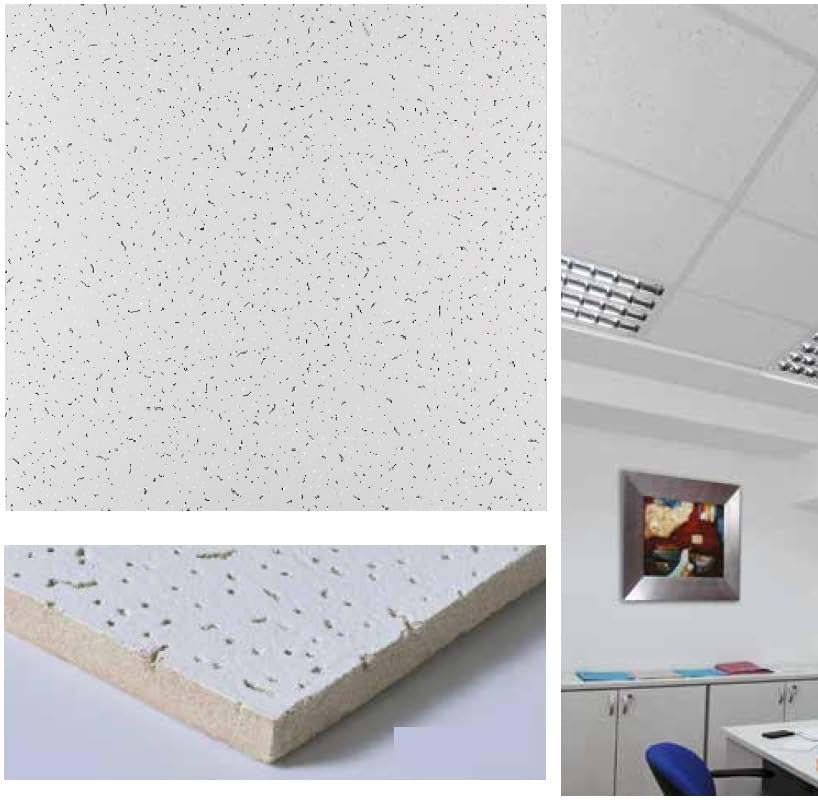 Paneles de techo 60 x 60 x 1,2 cm - 14 piezas - Fibra mineral - Lote de 5,04 m² - Absorbente - Acabado agrietado - En apoyo