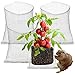 Produktbild 4 Stück Wurzelschutz aus Edelstahl für Pflanzen, 35 x 35 cm, Wurzelschutz, Körbe für Wühlmaus und Wühlmaus-Drahtkörbe für Pflanzen, Beeren, Gemüse, Wurzelschutz, Silber