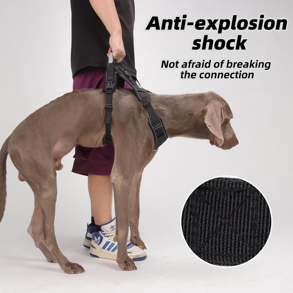 Airtag Dog Harness Chest Plate Reflective No Pull Harness with Leash for Extra Large Dogs (Black, M) - image 5