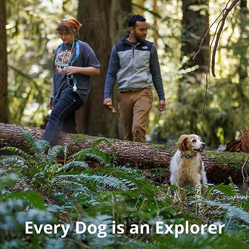 RUFFWEAR Crag EX Leash Hundeleine, Farbe:Alpine Dawn