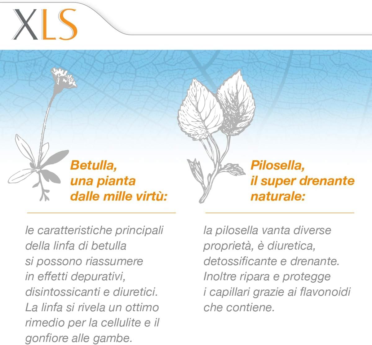 XLS Drena Integratore Alimentare Drenante per Donne, Confezione da 10 Flaconcini, 10 Unità (Confezione da 1)