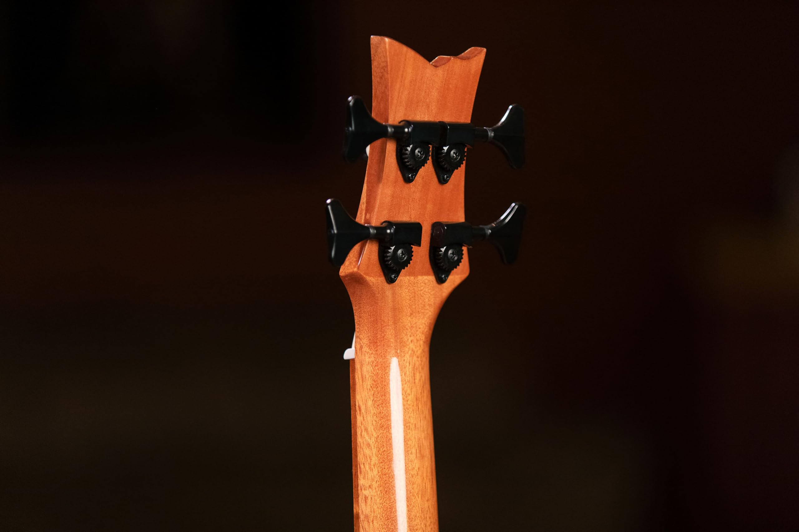 Ortega Guitars Travel Bass electro-acústico - Serie Lizard - Ukelele bajo - incluye Gigbag - Acacia, Mahagony (CAIMAN-BS-GB)