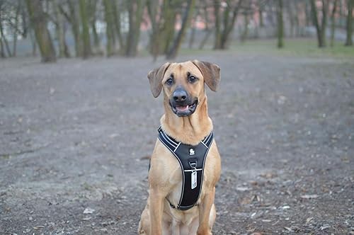 Miniatura 6 de Truelove TLH5551 - Arnés reflectante para perro con asa, chaleco suave acolchado sin tirones, capa exterior Oxford duradera para razas grandes