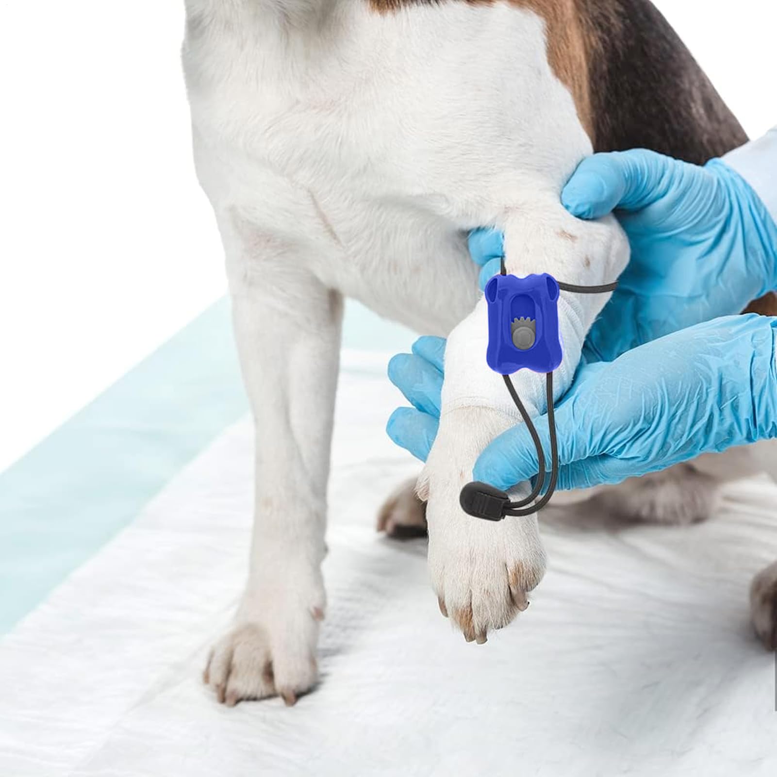 Kompressionsbandage für Tiere – traumatischer Notfallverband | sofortige Blutungskontrolle, tragbar, für Verletzungen, Reisen, Haus, Tierarzt, Tiere und Katzen
