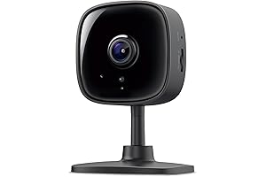 TP-Link Tapo C420S2: Your Essential Home Security Buddy