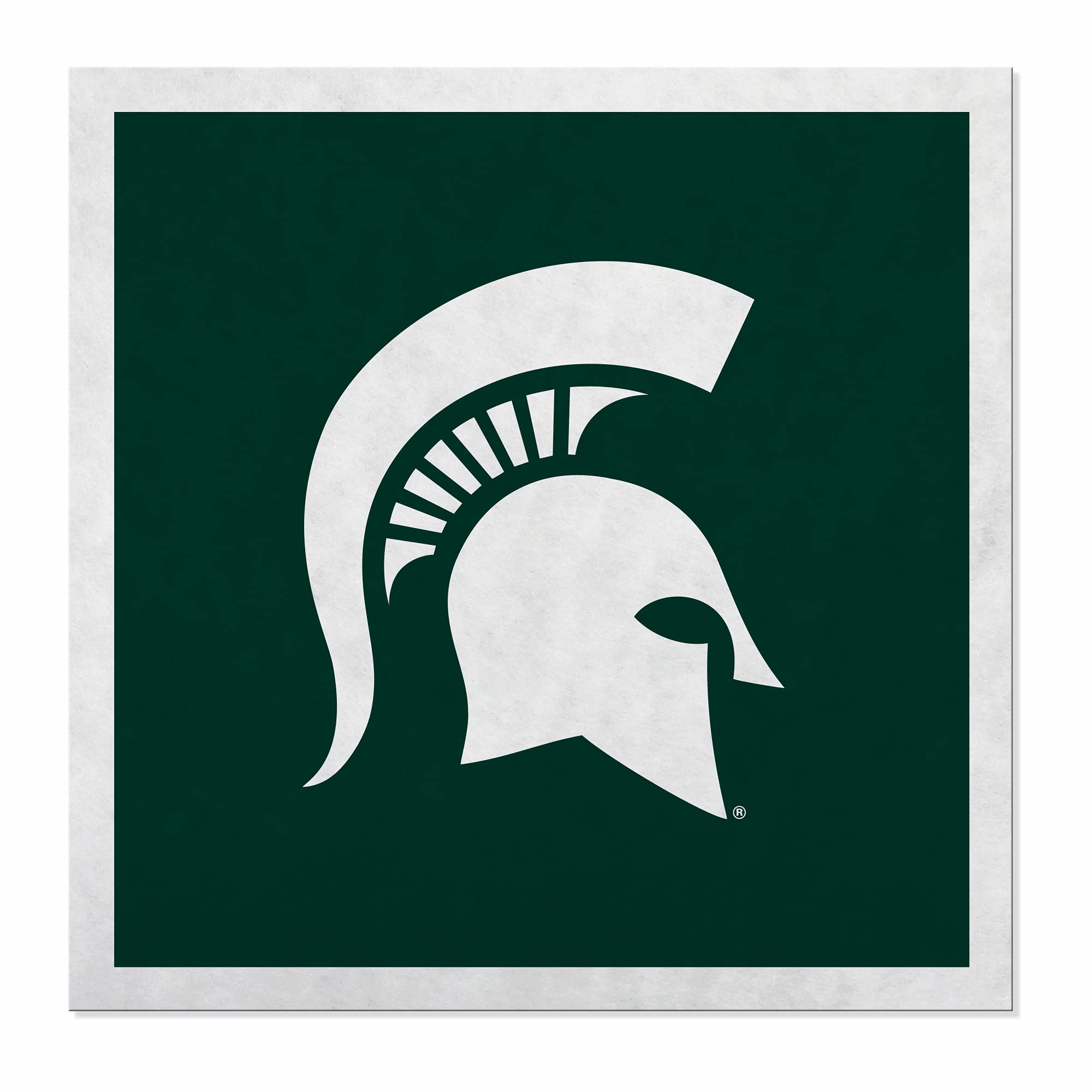 Rico Industries NCAA Michigan State Spartans Felt Home & Wall Decor Banner - Banner for Man Cave, Game Room, Office & Bedroom - Long-Lasting Wall Decorations - Made in The USA - 23
