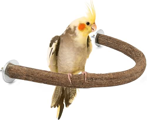 Rypet Natural Wood Bird Perch, U-Shaped Safe Chew & Rest