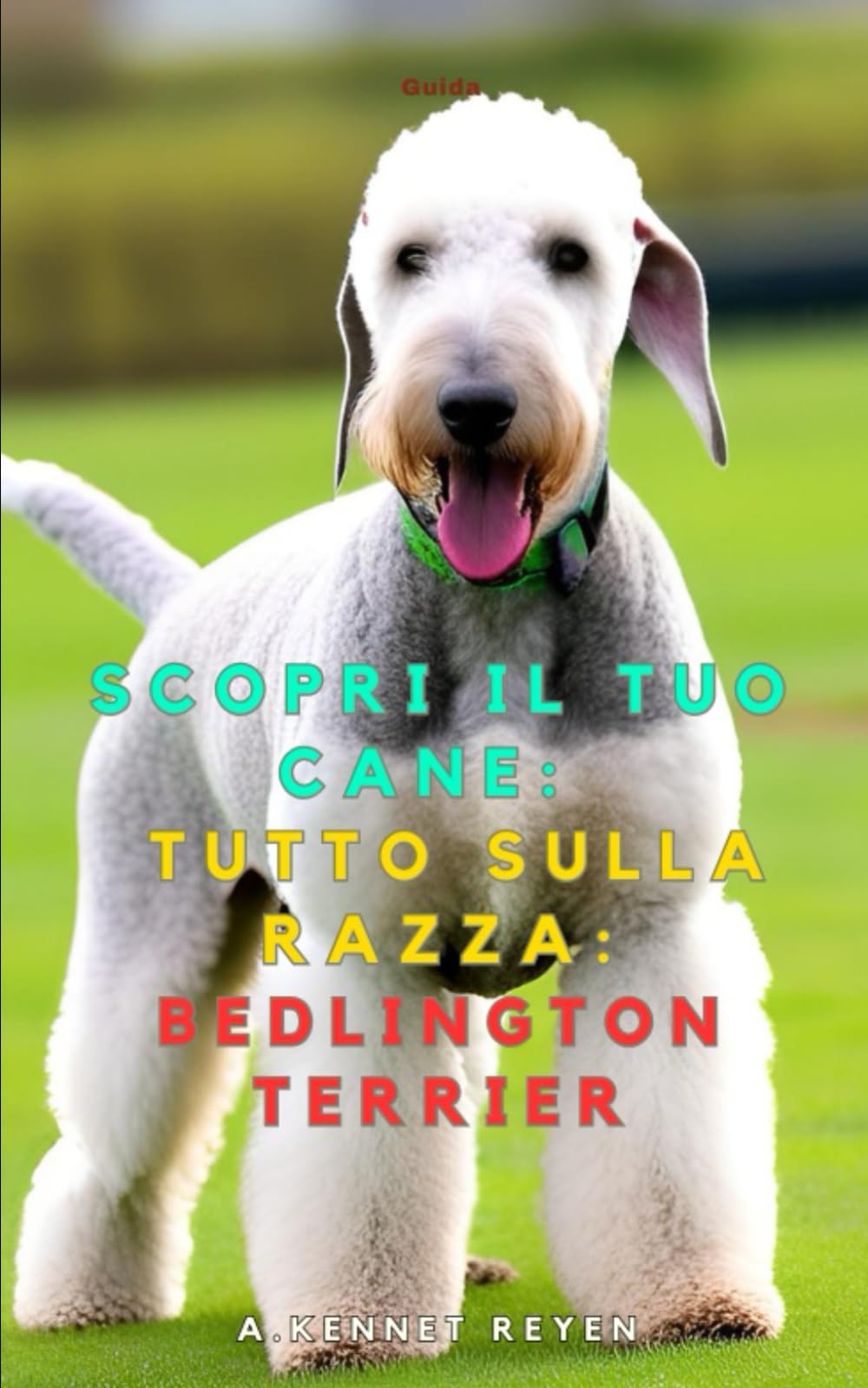 Scopri il tuo Cane:Tutto sulla razza: Bedlington Terrier