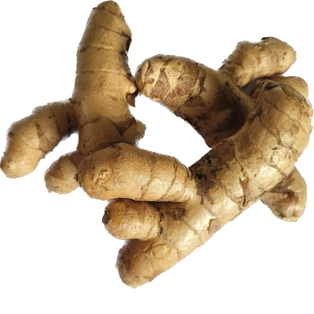 Fresh Mango Ginger, 250g Pack