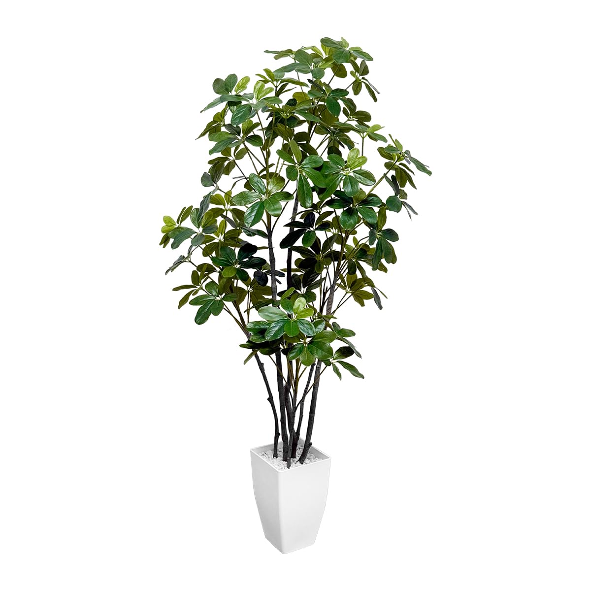 Amazon｜RAKU フェイクグリーン カポック 約125CM 観覧植物 人工観葉樹