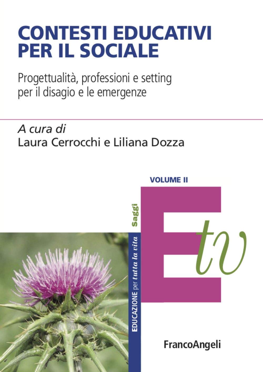 Contesti educativi per il sociale. Progettualità, professioni e setting per il benessere individuale e di comunità (Vol. 2)