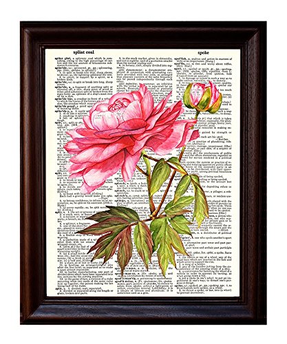 Fresh Prints of CT Pink Peony - Dictionary Art Print Printed On Authentic Vintage Dictionary Book Page - 8 x 10.5