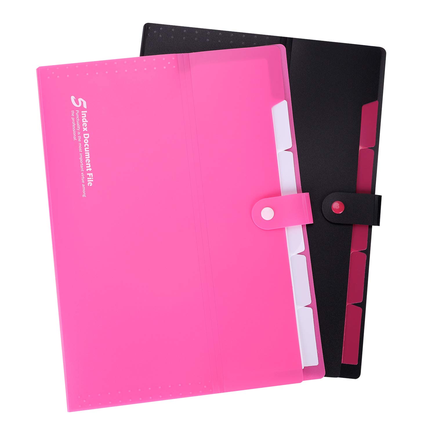 ThinkTex Plastic Expanding File Folders, Transparent Envelopes With Snap Closure, No Dividers, Large Capacity, Document Organizer For Bills & Taxes, Letter/A4 Size For School, Office, Home - 3 Pack